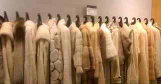 Fur Salon Retail and Storage! Very Profitable!