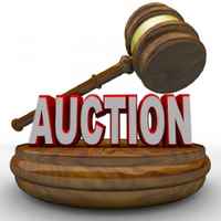 Profitable NW Appraisal & Auction Business