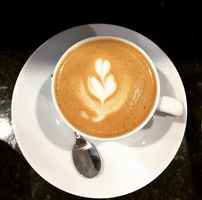 Coffee Franchise for Sale in Northern NJ