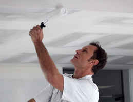 Profitable Paint Contractor with Excellent Online