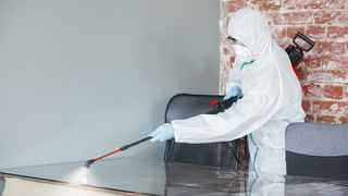 Health and Safety Cleaning Franchise for Sale