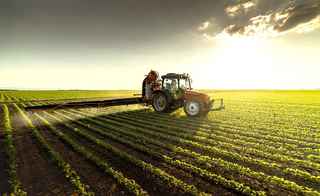 Large Agricultural Enterprise With Profits