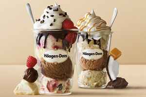 Haagen Dazs in a NY Mall for Sale