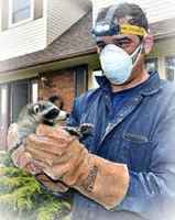 Rapidly Growing Pest Control and Wildlife Removal