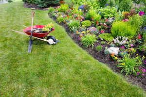 Lawn Care Business For Sale Lender Prequalified!