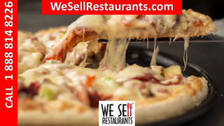 National Pizza Franchise Resales in Michigan