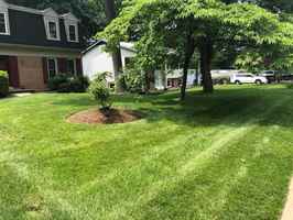30+ Year Commercial and Residential Lawn Care