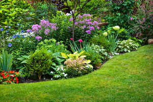 Landscaping Business for Sale!