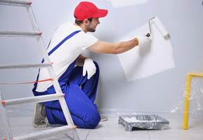 Painting Business in Great Territory FT. Worth