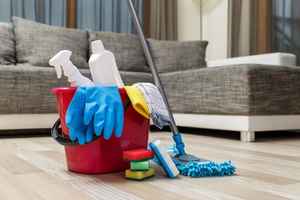 Well Established Cleaning Business: Cary NC