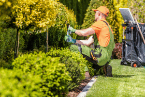 Residential Lawn Care Business with 75+ Accounts