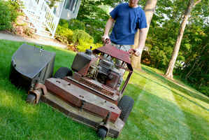Established & Well-Known Lawn & Landscape Company