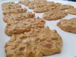 Price Reduced on New Orleans Pralines Bakery
