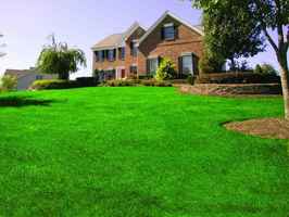 Well-established profitable lawn care business