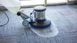 Established Carpet Cleaning Business