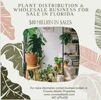 wholesale-retail-plant-distribution-orlando-florida