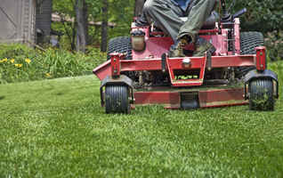 Lawn and Garden Equipment Distributor Sale