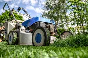 Full-service landscaping and lawn maintenance
