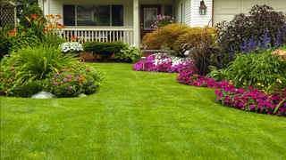 Well-Established Lawn Care Company for Sale