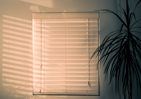 Home based, low overhead Window Blinds Service