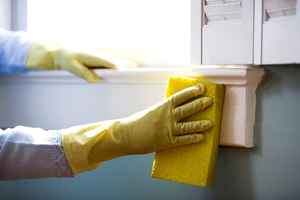 Cleaning Company in Affluent Area - Passive Owner