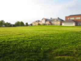 Lawn Maintenance Business - Commercial