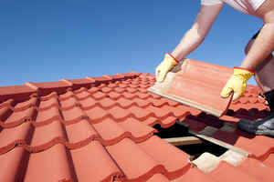Well Established Roofing and Reno Company