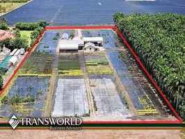 Est Agriculture Business with Acreage for Sale