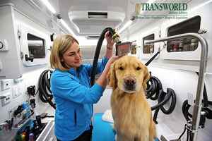 Thriving Bay Area Mobile Pet Groomer with Fleet