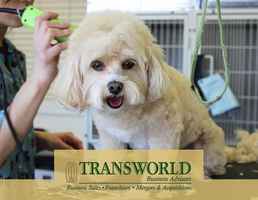Well Established Pet Grooming Business