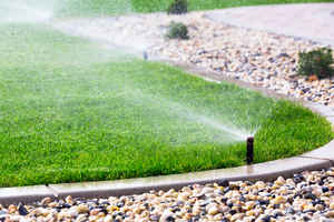 Lawn and Irrigation Specialty Company