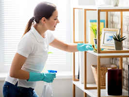 Remotely Run Profitable Cleaning Company