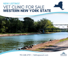 Holley, New York -Vet Practice for Sale
