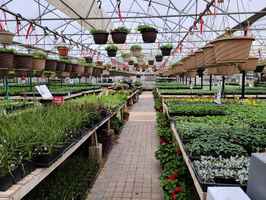 turnkey-greenhouse-and-landscaping-business-in-watertown-south-dakota
