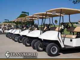 Golf Cart Sales and Repair Business