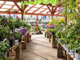 Exquisite Garden Boutique - w/Property Available