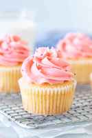 absentee-cupcake-franchise-suffolk-county-patchogue-new-york