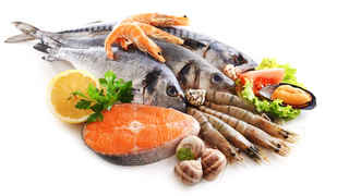 Seafood Distribution Business
