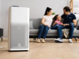 eCommerce Brand in the Air Purification Products