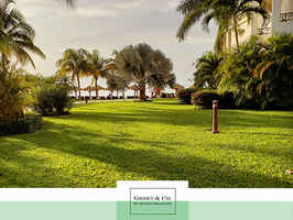 landscaping-and-lawn-business-florida