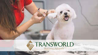 SBA Pre-Approved Dog Grooming Business