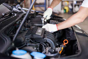 Specialty Auto Repair with Real Estate