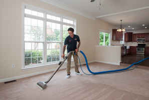 Profitable, highly rated carpet cleaning company