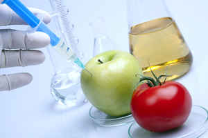 Educational - Food Related Testing Business