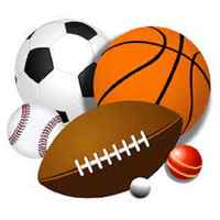 Annual Sporting Event Business