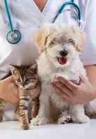 veterinary-hospital-east-central-tennessee