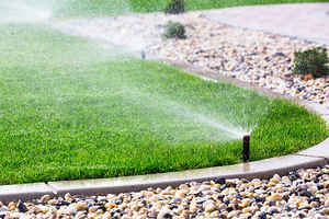 Established Sprinkler System Sales and Service