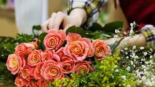 Highly Profitable Florist with Year on Year Growth