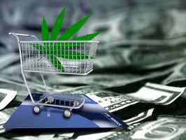 Multiple Location Cannabis Retail Chain