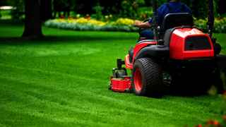 Lawn and Landscaping Business For Sale